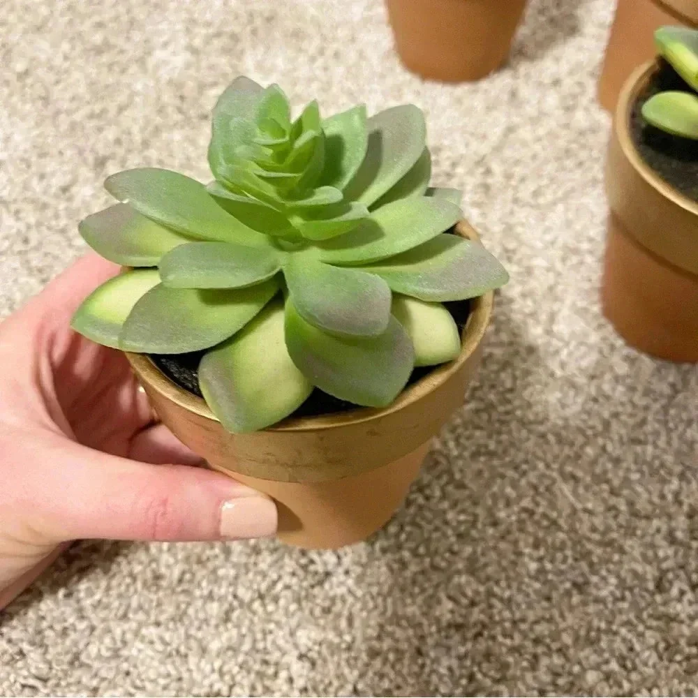 Set of 3 terracotta faux succulents new